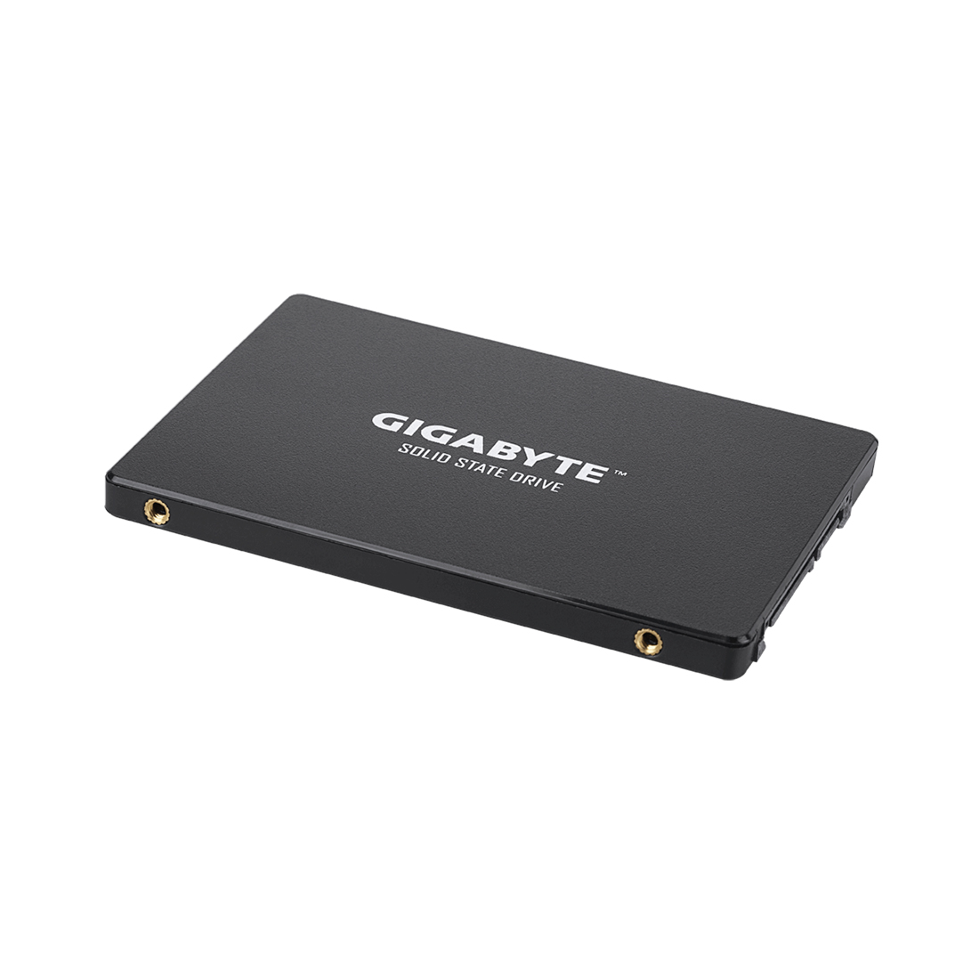 Твердотельный накопитель внутренний Gigabyte GSTFS31240GNTD — изображение 2