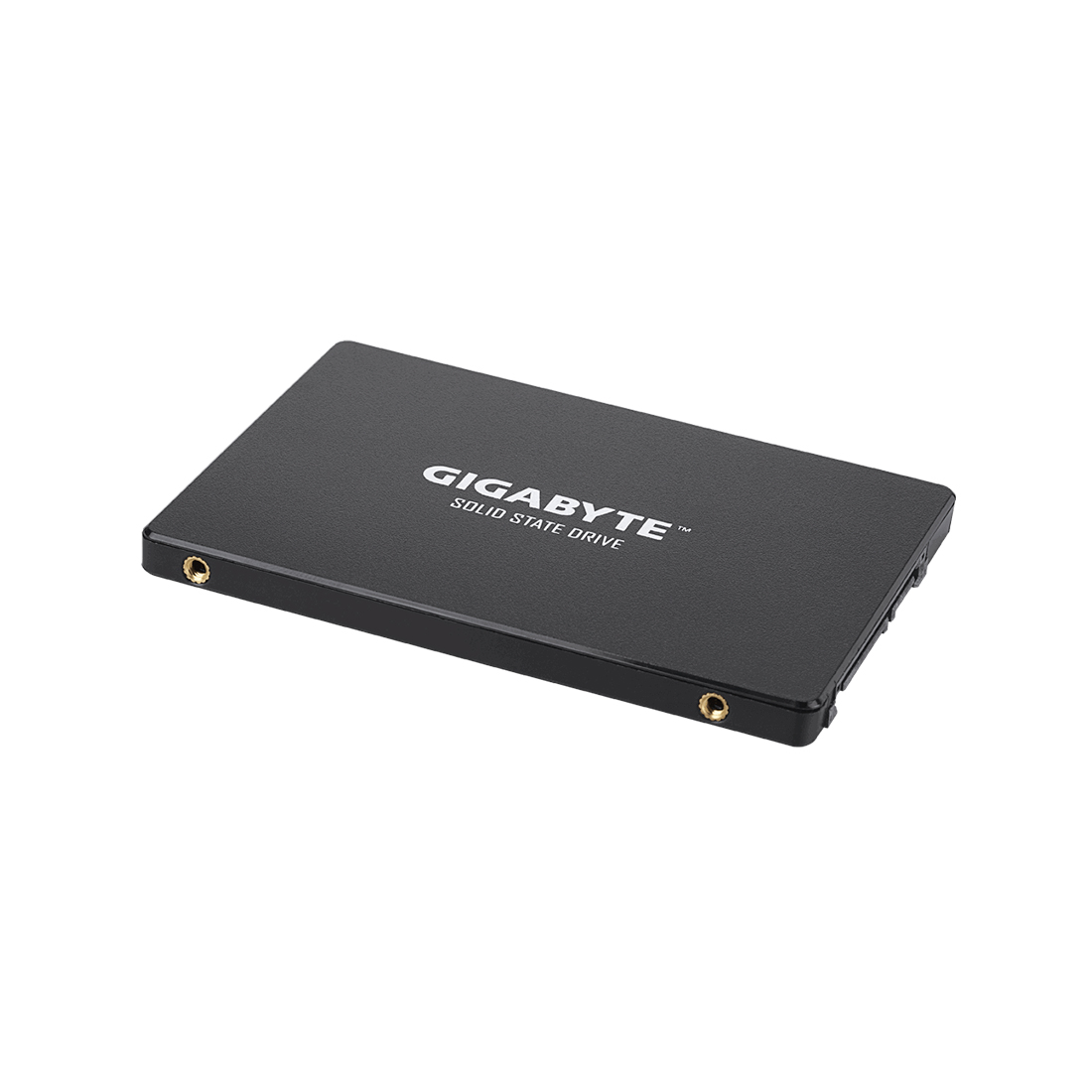 Твердотельный накопитель внутренний Gigabyte GSTFS31480GNTD — изображение 2