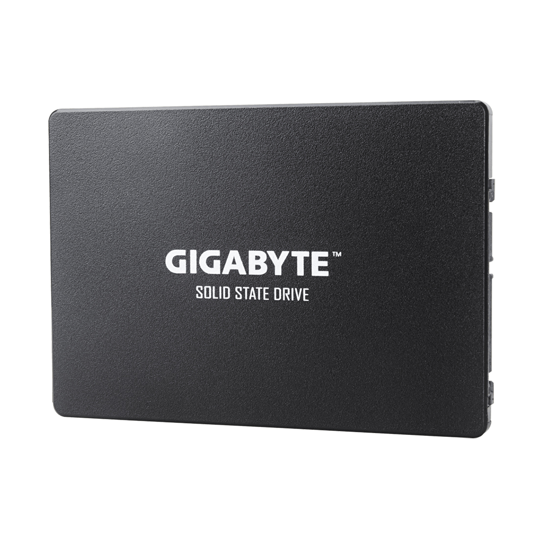 Твердотельный накопитель внутренний Gigabyte GP-GSTFS31100TNTD — изображение 2