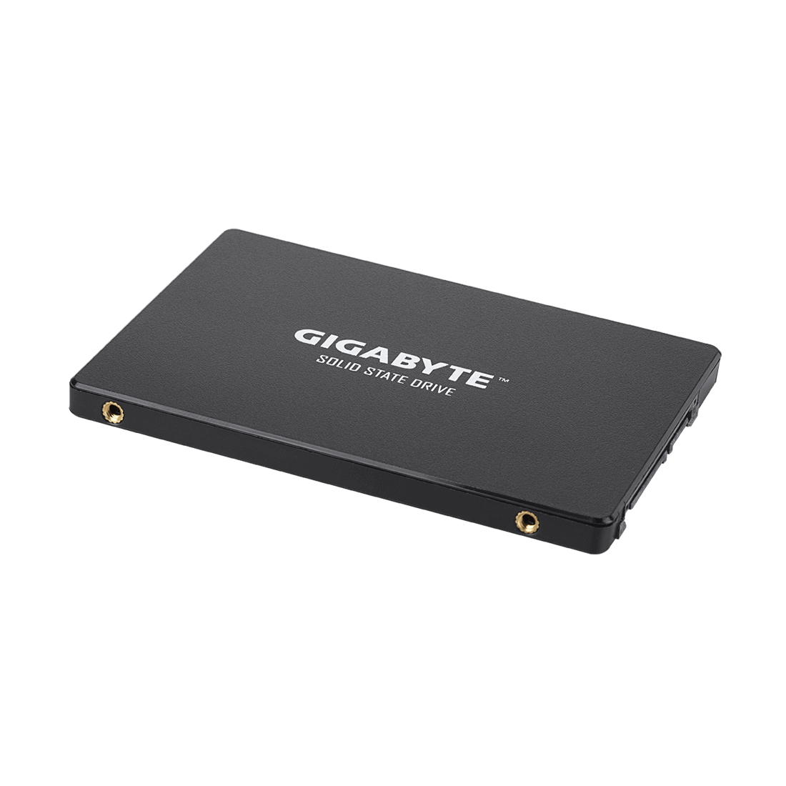 Твердотельный накопитель внутренний Gigabyte GP-GSTFS31100TNTD — изображение 3
